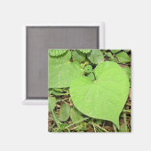 Hartvormige wijnmagneet magneet (Voorkant / Achterkant)