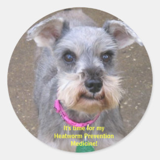 Hartworm Medicine Reminder Stickers