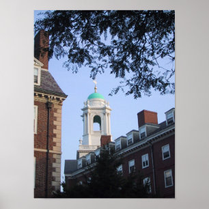 Harvard in de lente poster