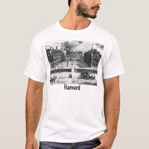 Harvard T-shirt