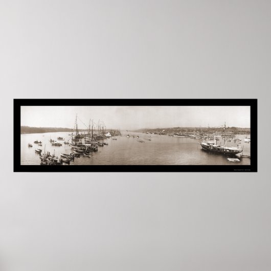 Harvard Yale Boat Race Foto 1905 Poster (Voorkant)