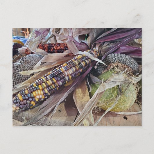 Harvest Briefkaart (Voorkant)