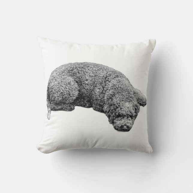 Harvest Evening Calm Kussen (Voorkant)