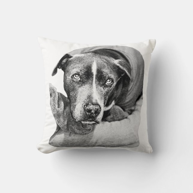 Harvest Evening Companion Kussen (Voorkant)