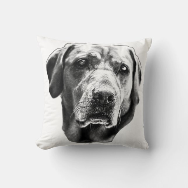 Harvest Hearth Gaze Kussen (Voorkant)