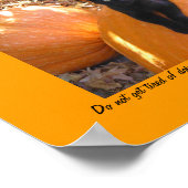 Harvest Kitten Poster (Hoek)