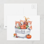 Harvest Kittens Briefkaart (Voorkant / Achterkant)