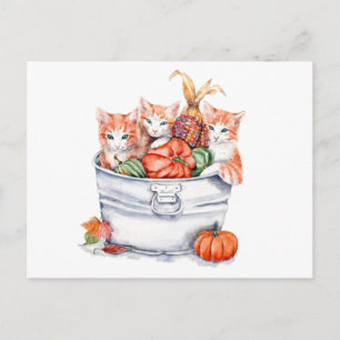 Harvest Kittens Briefkaart