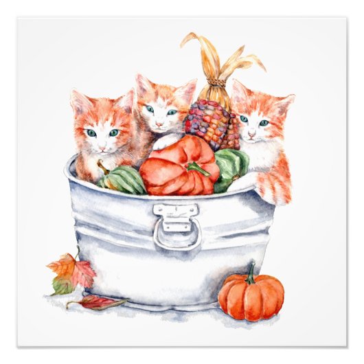 Harvest Kittens Foto Afdruk (Voorkant)