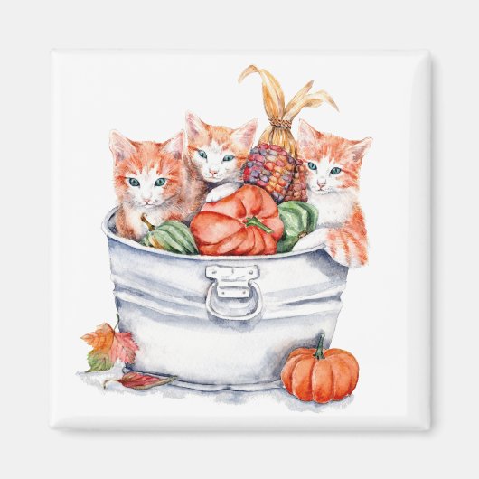 Harvest Kittens Magneet (Voorkant)