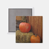 Harvest Magneet (Voorkant / Achterkant)