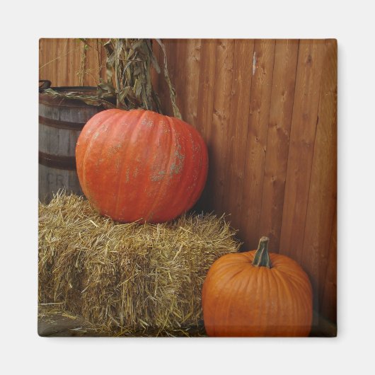 Harvest Magneet (Voorkant)