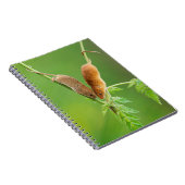 Harvest Mice Notebook Notitieboek (Rechterzijde)