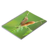 Harvest Mice Notebook Notitieboek (Linkerzijde)