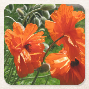 Harvest Moon Oriental Poppy Kartonnen Onderzetters
