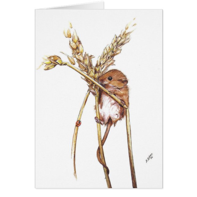 Harvest Mouse (Voorkant)