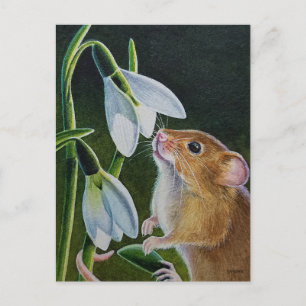 Harvest Mouse Smelling Snowdrops Waterverf Art Po Briefkaart