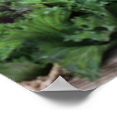 Harvest Poster (Hoek)