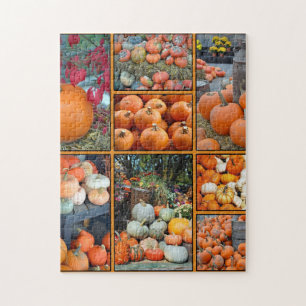 Harvest pumkins legpuzzel