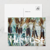 Harvest Season Farmer's Market Briefkaart (Voorkant / Achterkant)