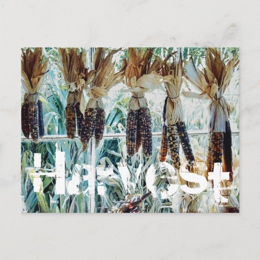 Harvest Season Farmer's Market Briefkaart (Voorkant)