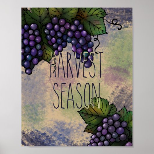 Harvest Season | Paarse druiven Poster (Voorkant)