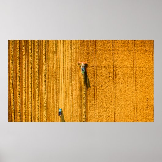 Harvester-machine die in het veld werkt. Combineha Poster (Voorkant)