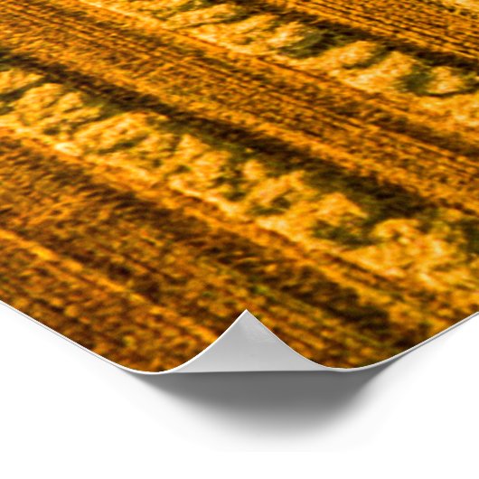 Harvester-machine die in het veld werkt. Combineha Poster (Hoek)