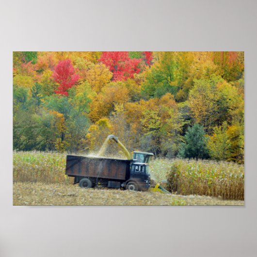 Harvesting Corn in Vermont Poster (Voorkant)