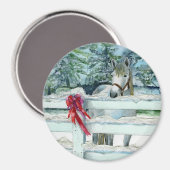 Harvey Magneet (Voorkant / Achterkant)