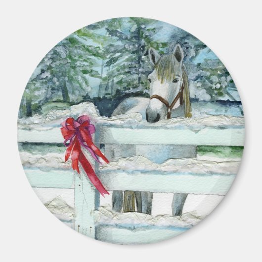 Harvey Magneet (Voorkant)