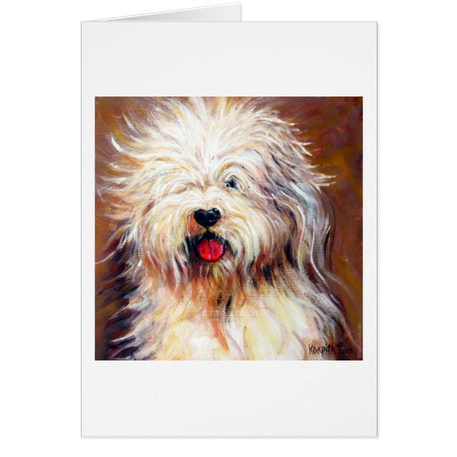 Harvey - Old English Sheep Dog (Voorkant)