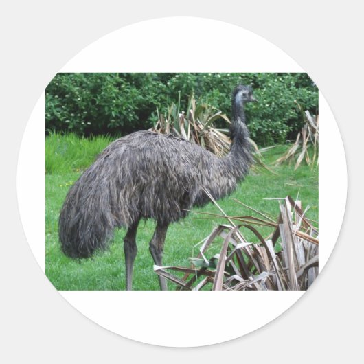 Harvey Ronde Sticker (Voorkant)