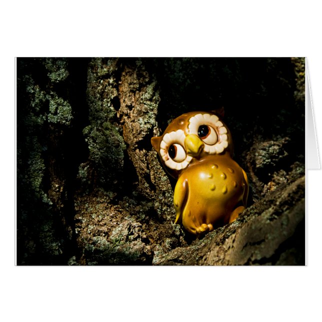 Harvey the Owl I (Voorkant Horizontaal)