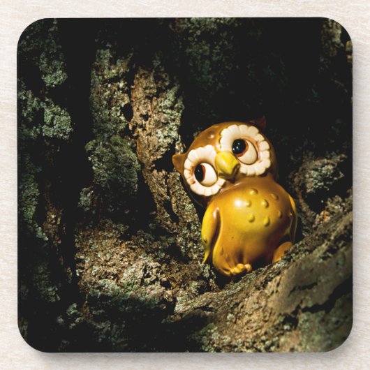 Harvey the Owl I Bier Onderzetter (Voorkant)