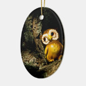 Harvey the Owl I Keramisch Ornament (Links)