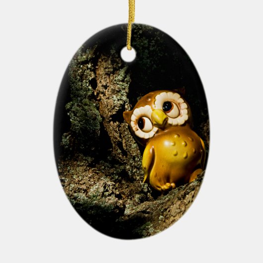 Harvey the Owl I Keramisch Ornament (Voorkant)