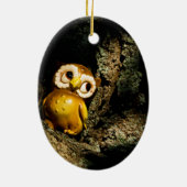 Harvey the Owl I Keramisch Ornament (Achterkant)