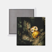 Harvey the Owl I Magneet (Voorkant / Achterkant)