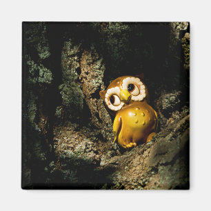 Harvey the Owl I Magneet