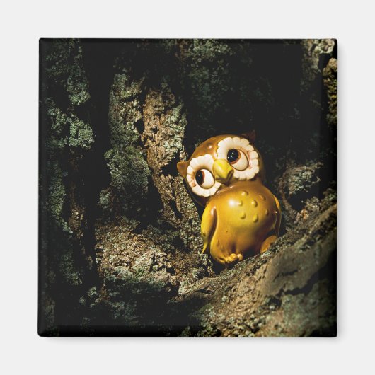 Harvey the Owl I Magneet (Voorkant)