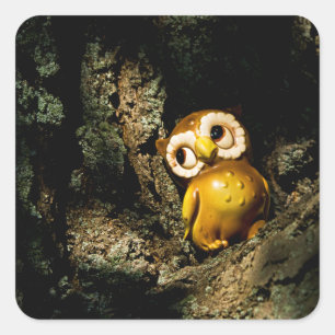 Harvey the Owl I Vierkante Sticker