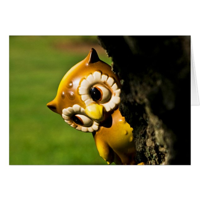 Harvey the Owl II (Voorkant Horizontaal)
