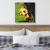 Harvey the Owl II Canvas Afdruk (Insitu (Slaapkamer))