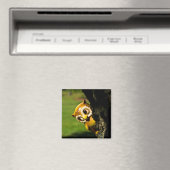 Harvey the Owl II Magneet (Insitu (Vaatwasser))
