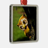Harvey the Owl II Metalen Ornament (Rechts)