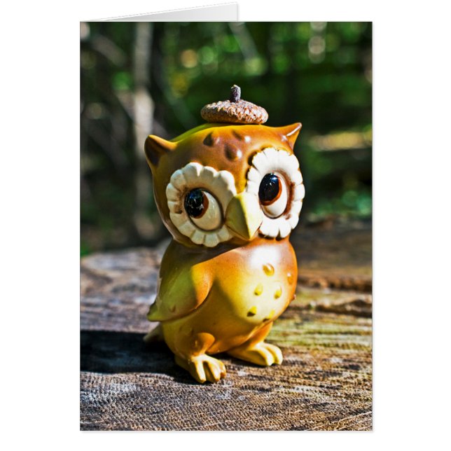 Harvey the Owl III (Voorkant)
