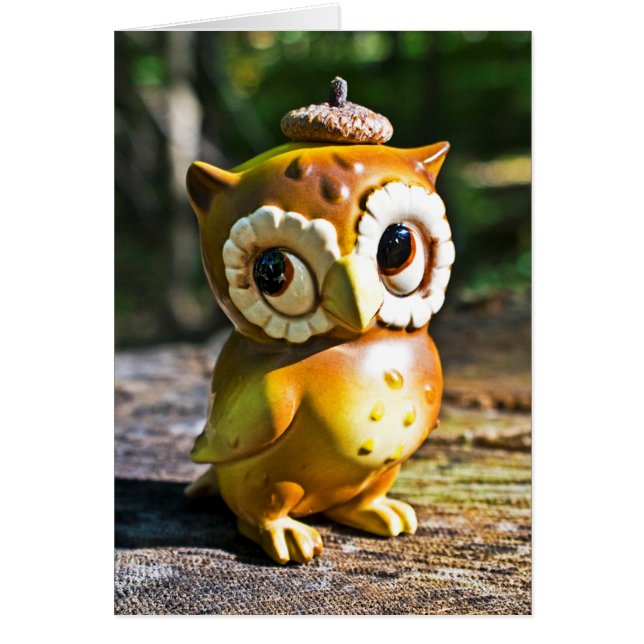 Harvey the Owl III (Voorkant)