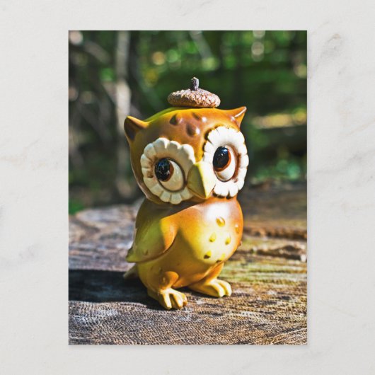 Harvey the Owl III Briefkaart (Voorkant)