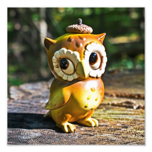 Harvey the Owl III Foto Afdruk (Voorkant)